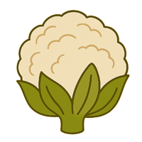 Blumenkohl Blumenkohl