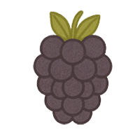 Brombeeren Brombeeren