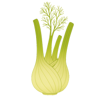Fenchel Fenchel