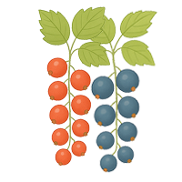Johannisbeeren Johannisbeeren