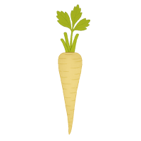 Pastinake Pastinake