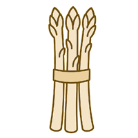 Spargel Spargel