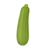 Zucchini Zucchini